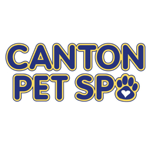 Daycare – Kennesaw Pet Center
